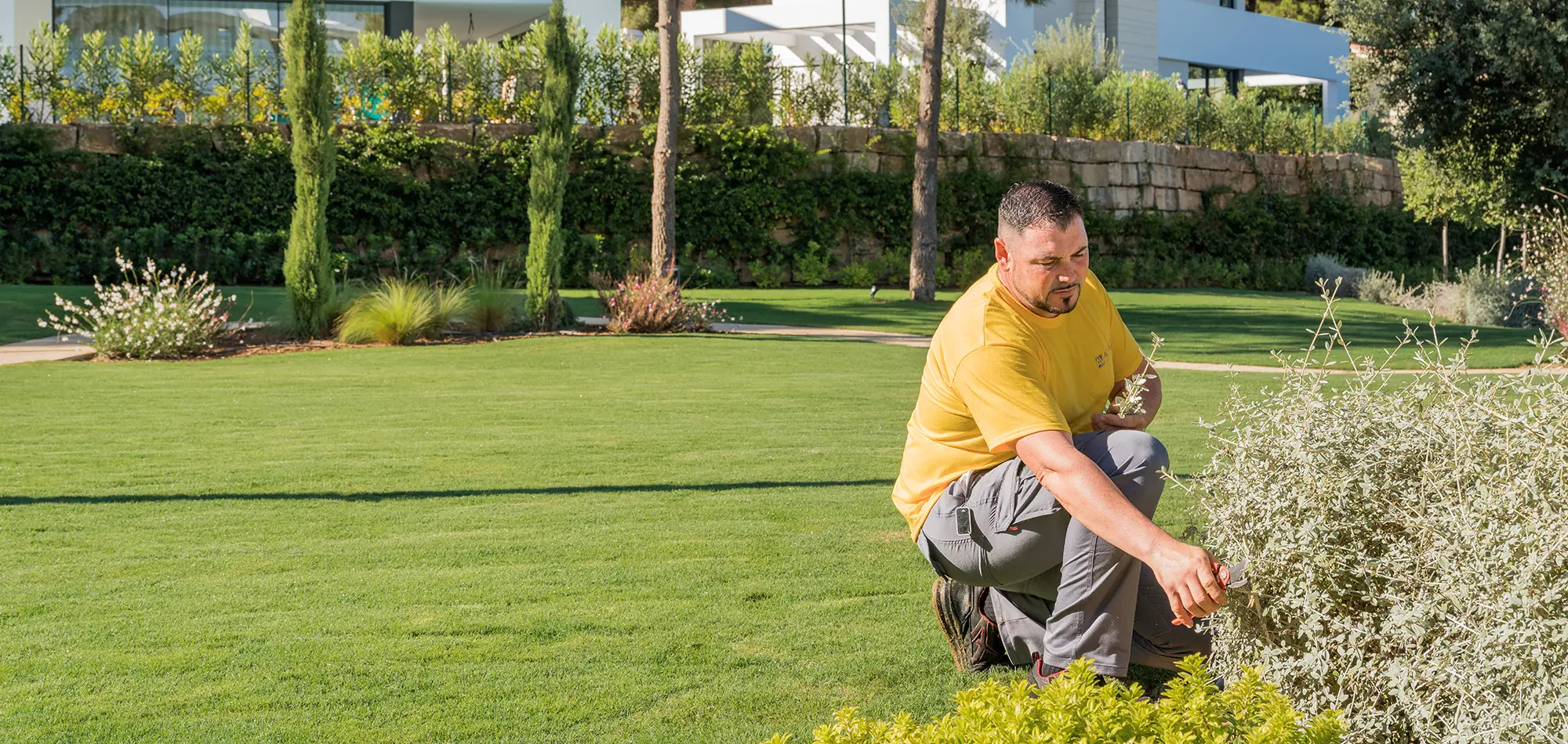 Altavista La Vera y La Finca HD-19