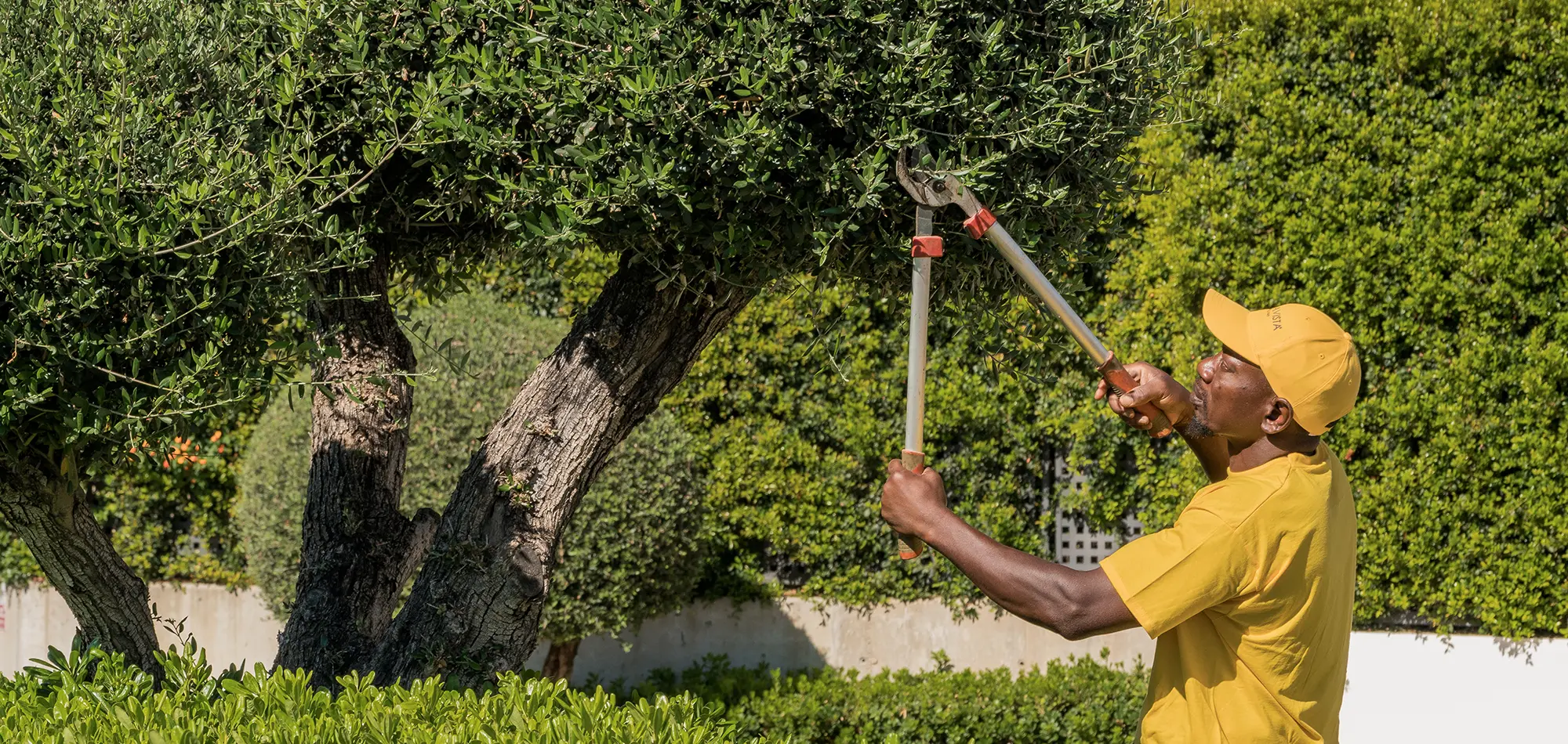 Altavista La Vera y La Finca HD-24