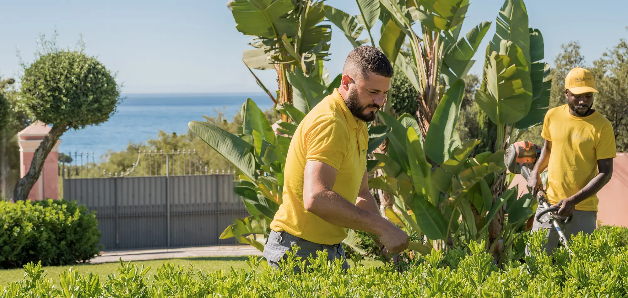 Altavista La Vera y La Finca HD-25